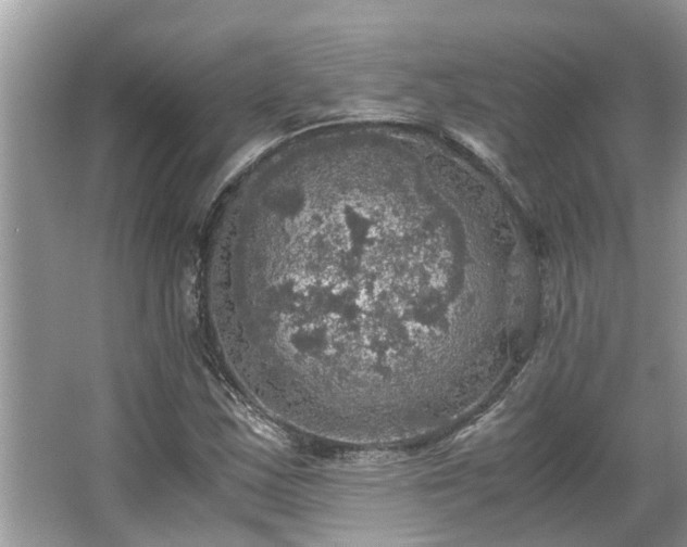 X0000063461163200601231410