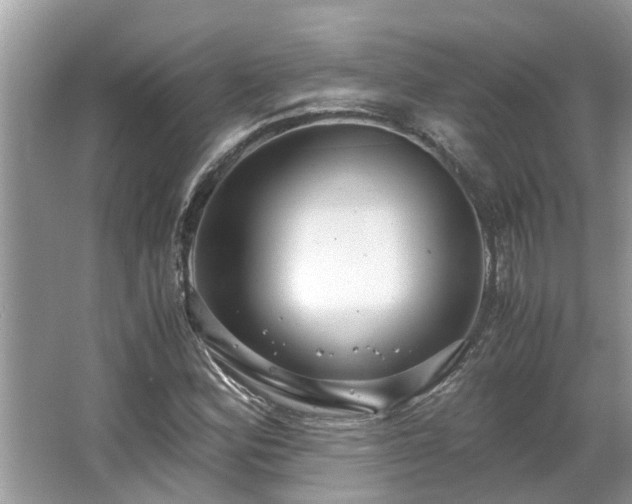 X0000063461164200601231410