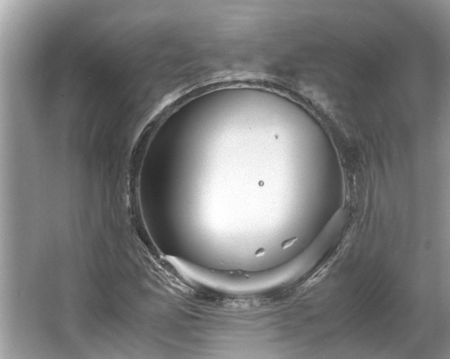 X0000063461165200601231410