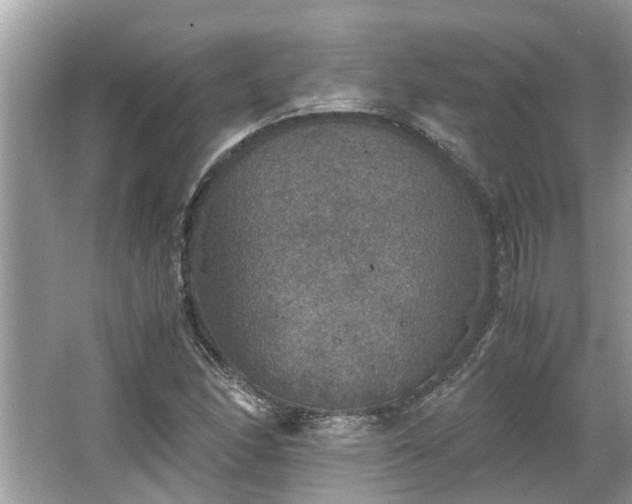 X0000063461166200601231410