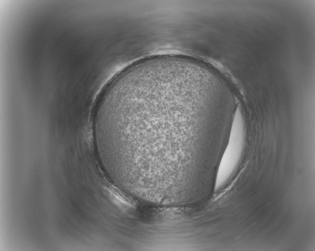 X0000063461167200601231410