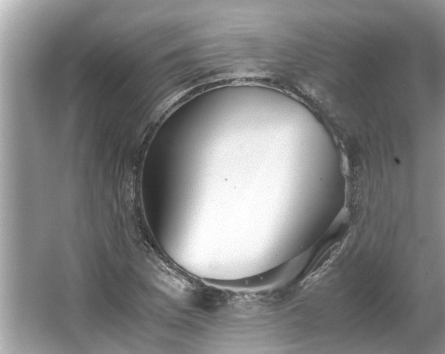 X0000063461169200601231410