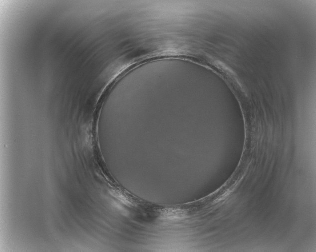 X0000063461170200601231410