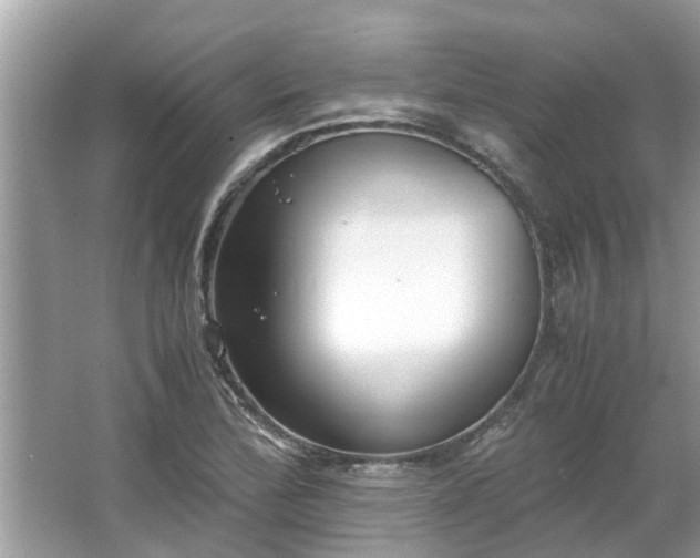 X0000063461172200601231410