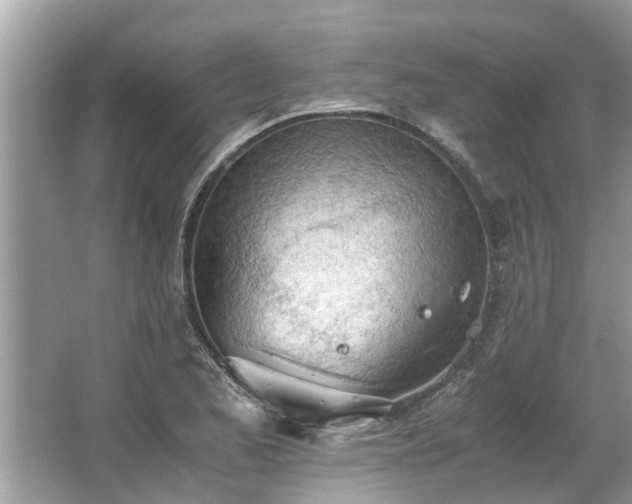 X0000063461173200601231410