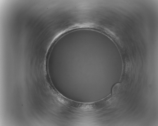 X0000063461174200601231410