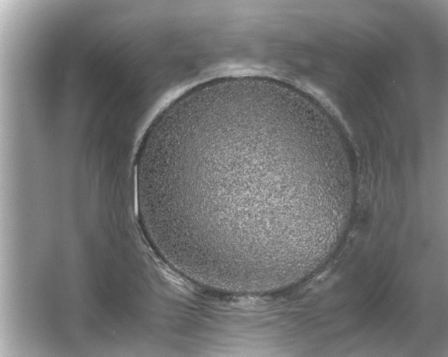 X0000063461175200601231410