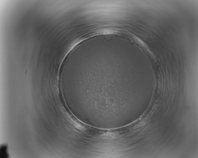 X0000063461178200601231410