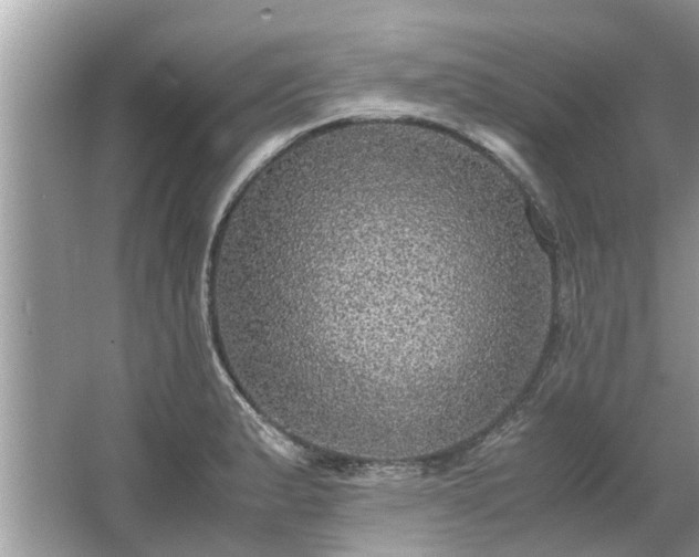 X0000063461183200601231410