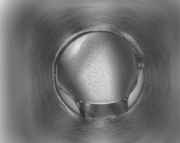 X0000063461184200601231410