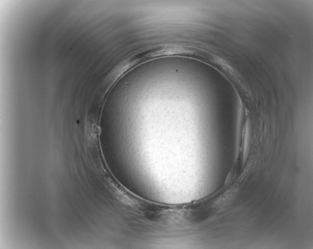 X0000063461185200601231410