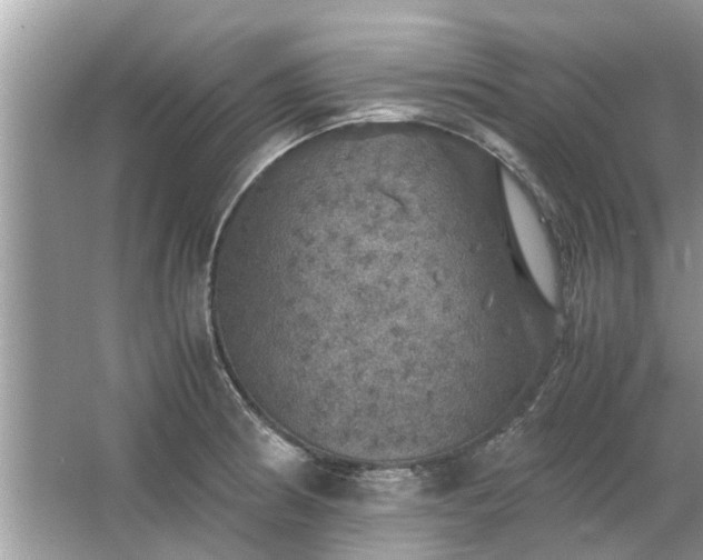 X0000063461186200601231410