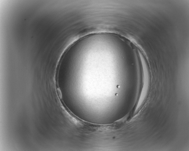 X0000063461189200601231410