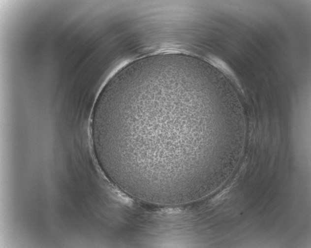 X0000063461190200601231410