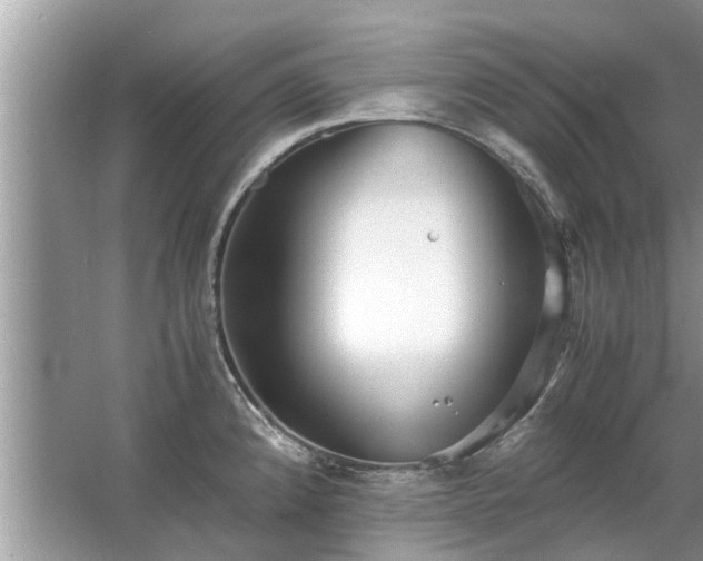 X0000063461192200601231410