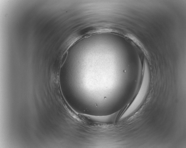 X0000063461193200601231410