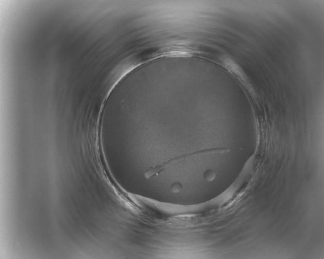 X0000063461194200601231410