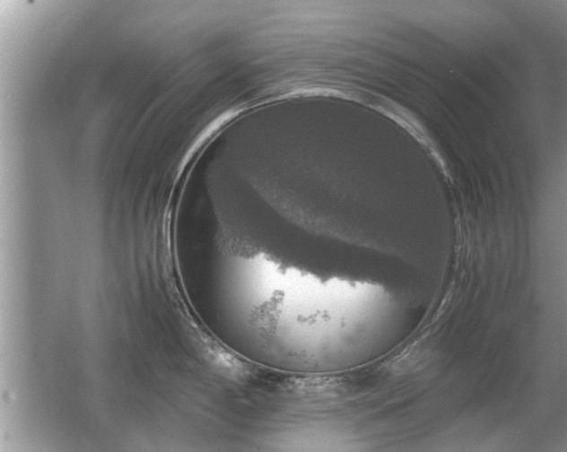 X0000063461198200601231410