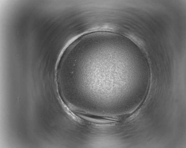 X0000063461200200601231410