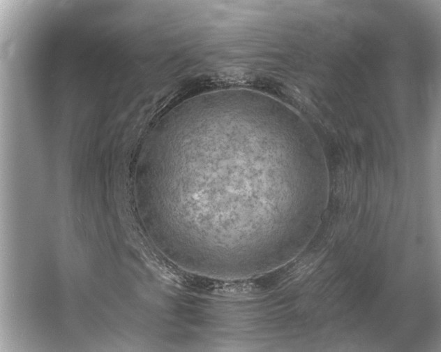 X0000063461201200601231409