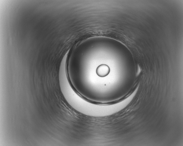 X0000063461202200601231409