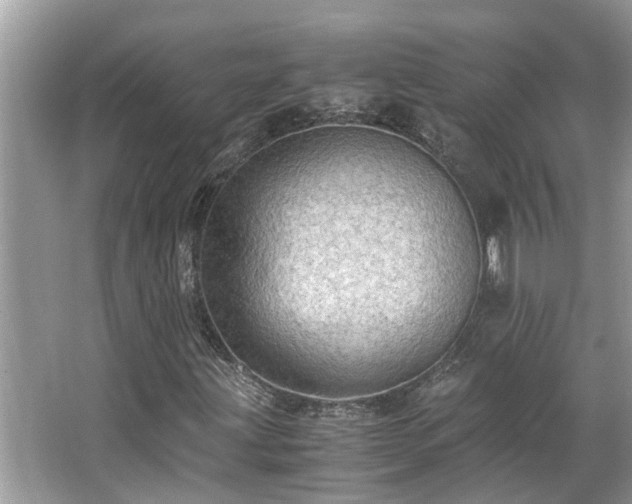 X0000063461203200601231409