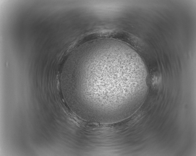 X0000063461204200601231409