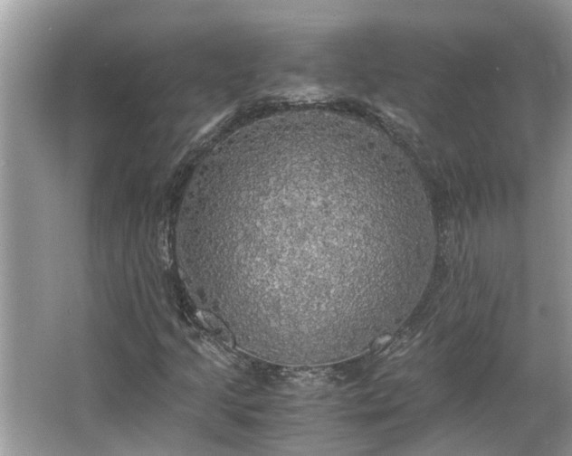 X0000063461205200601231409