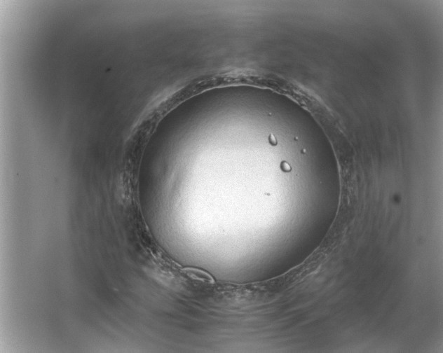 X0000063461207200601231409