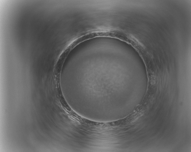 X0000063461208200601231409