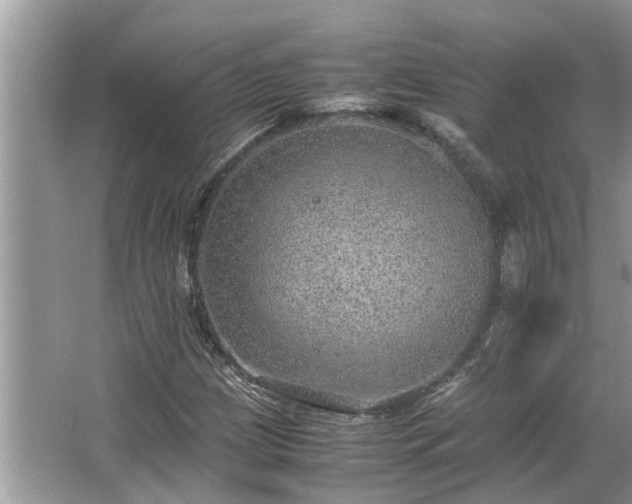 X0000063461209200601231409