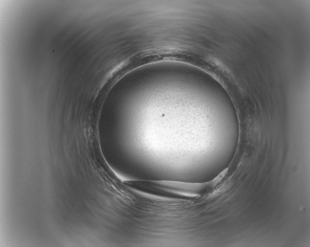 X0000063461210200601231409