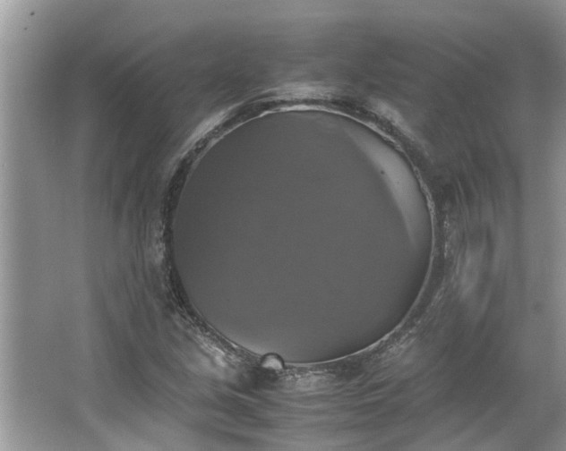 X0000063461213200601231409