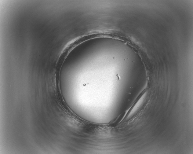 X0000063461214200601231409