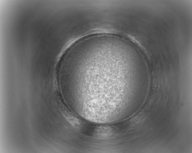 X0000063461215200601231409