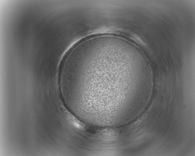 X0000063461216200601231409