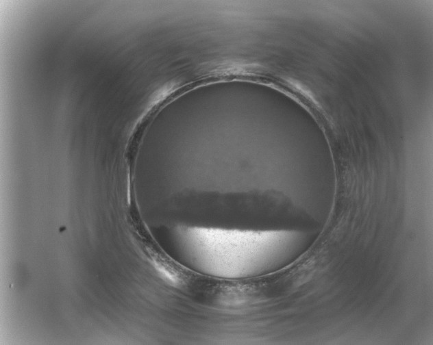 X0000063461219200601231409