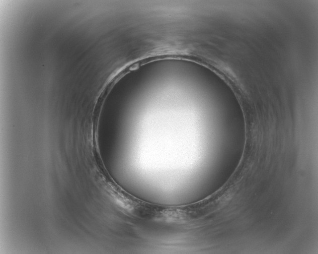 X0000063461220200601231409