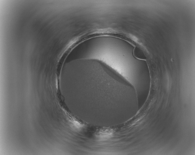 X0000063461221200601231409