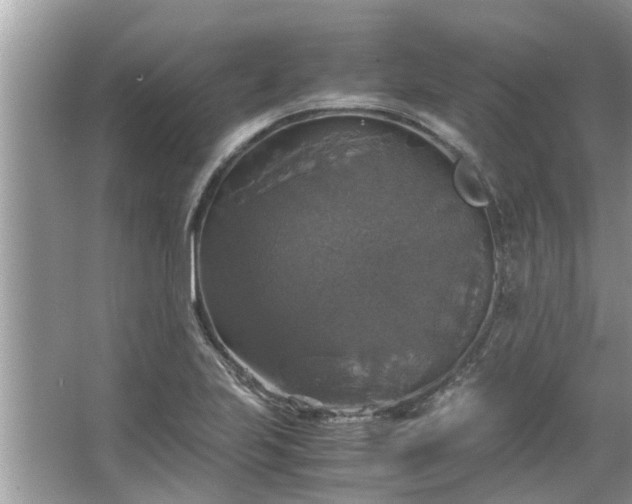 X0000063461223200601231409