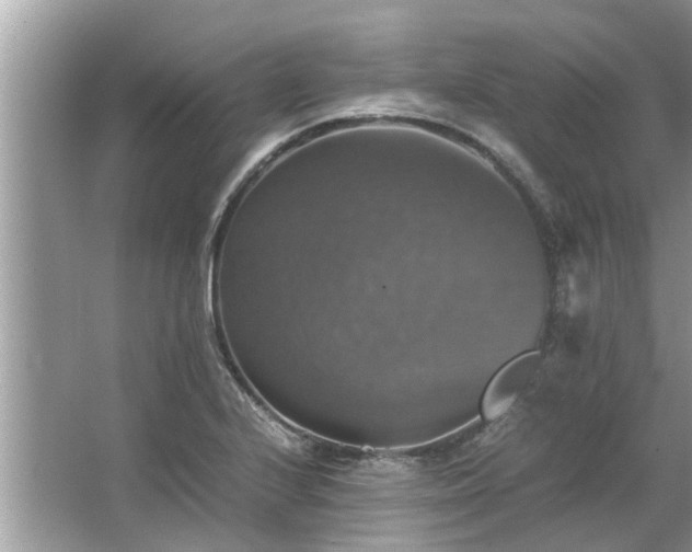 X0000063461224200601231409