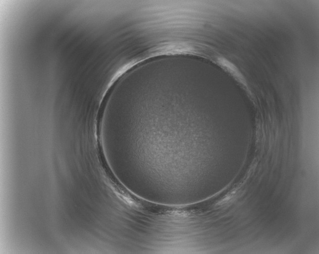 X0000063461226200601231409