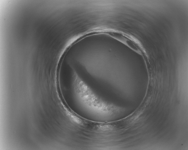 X0000063461231200601231410