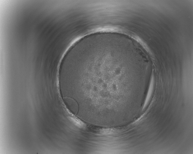 X0000063461232200601231410