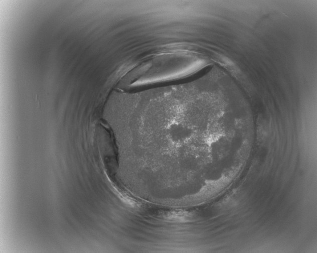 X0000063461233200601231410