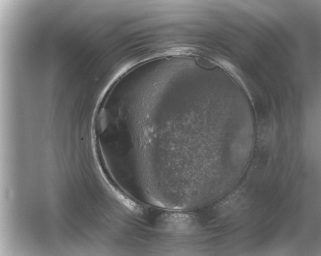 X0000063461235200601231410