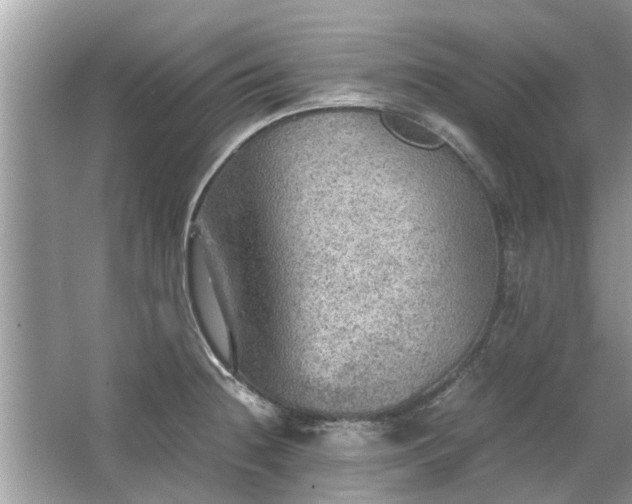 X0000063461236200601231410