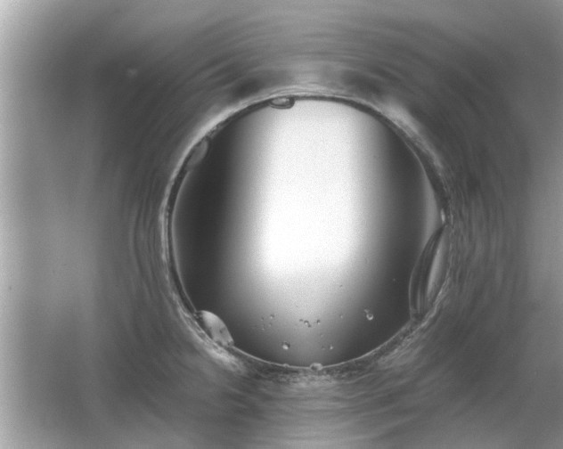 X0000063461238200601231410