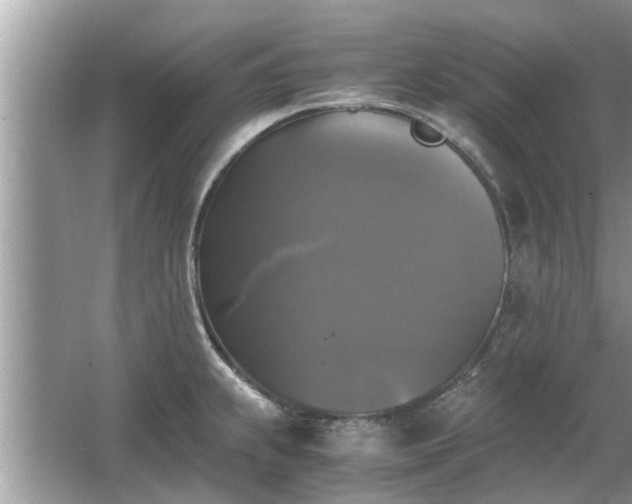 X0000063461239200601231410