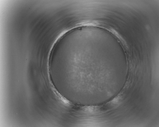 X0000063461240200601231410